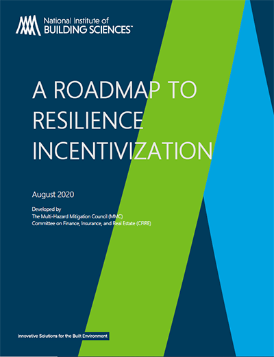 A Roadmap to Resilience Incentivization