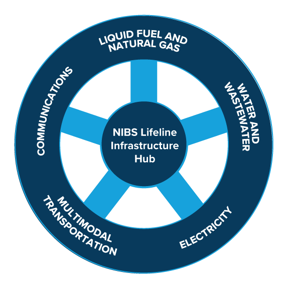Lifeline Hub process visualization