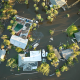 Hurricane season is approaching